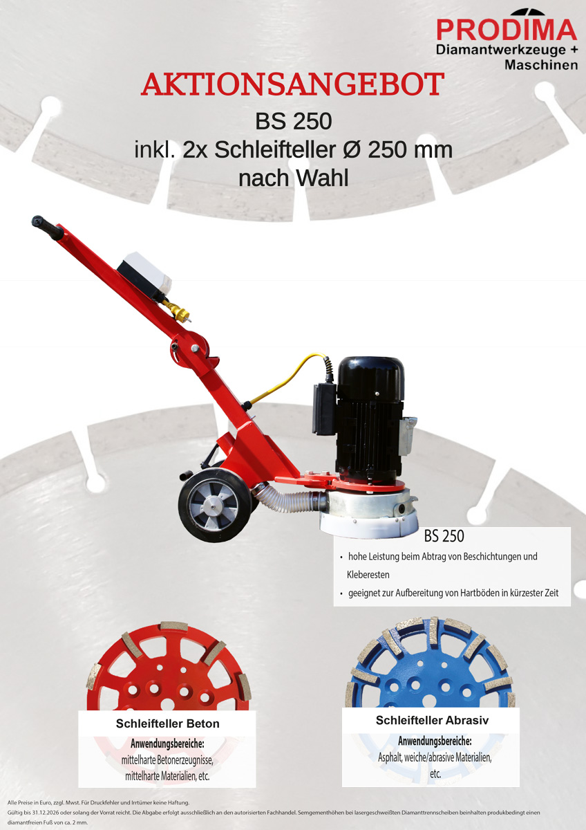 BS 250 inkl. 2x Schleifteller